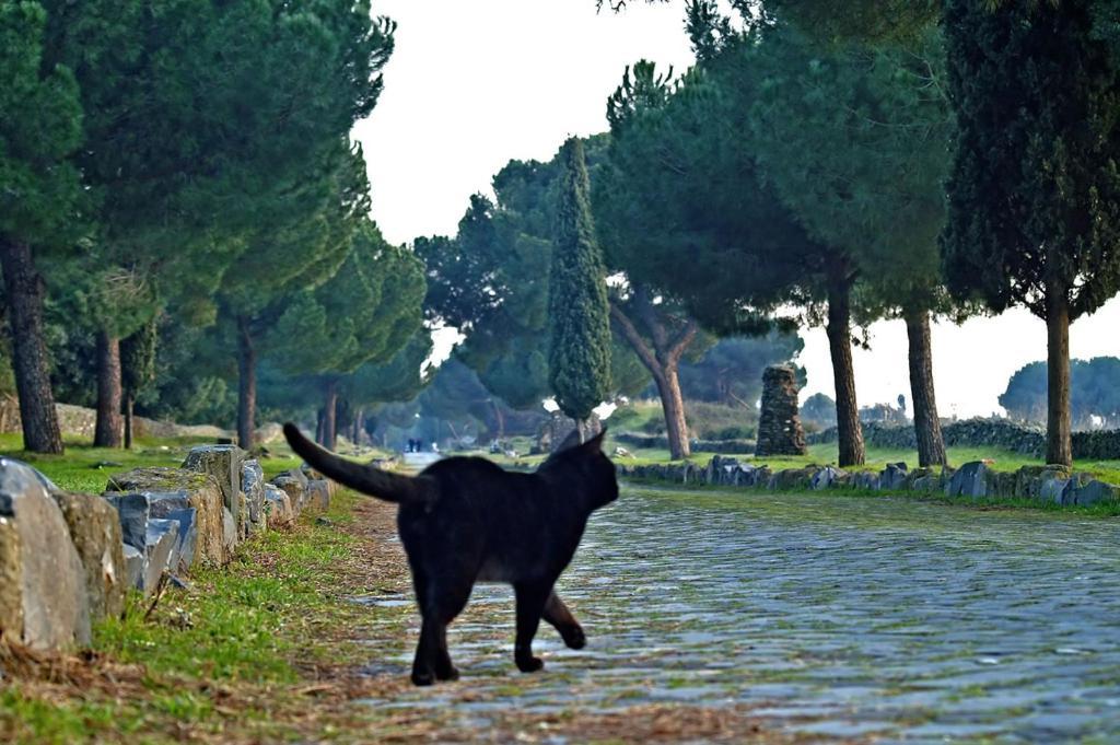 B&B Appia Felis Rome Luaran gambar